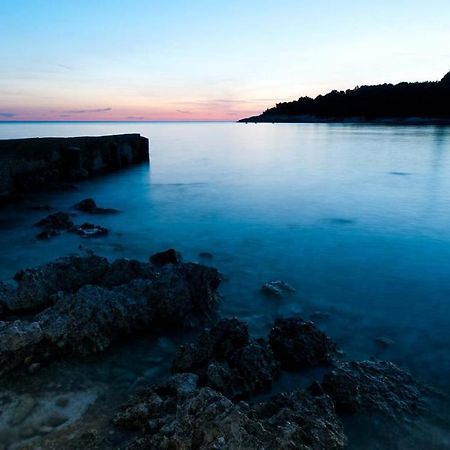 Blue Star Daire Premantura Dış mekan fotoğraf
